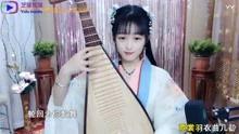 琵琶曲明星,穿越时空的旋律传奇