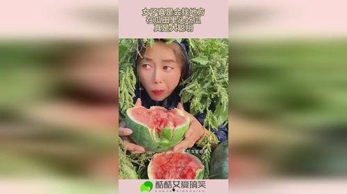 吃瓜女人小说,揭秘娱乐圈背后的秘密与真相