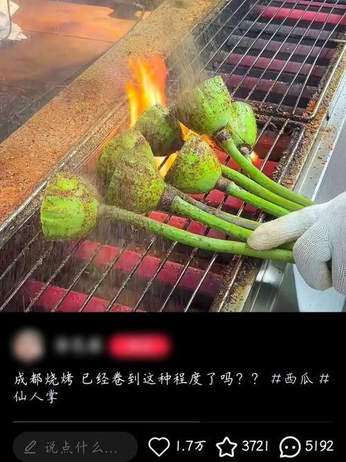 餐饮老板吃瓜,揭秘行业幕后趣闻