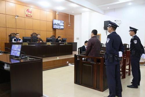 开庭旁听吃瓜视频下载,吃瓜群众围观开庭，视频下载热潮席卷网络