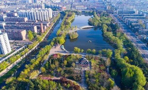 泰安市明星,璀璨星河中的璀璨明珠