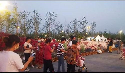 西安网红打卡地 夜景图,璀璨光影下的古城风情