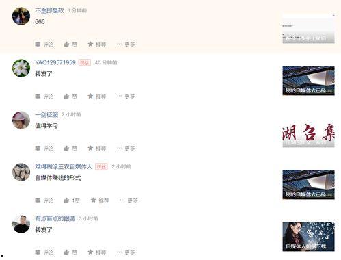 头条专栏怎么设置收益高,打造高收益内容秘籍