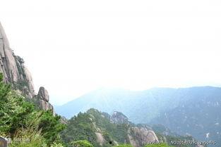 头条黄山风景图片,云海翻腾，峰壑争艳