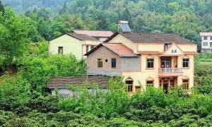 烽火村网红,网络红人引领乡村振兴新风尚