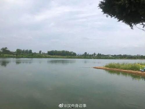 汉中新农村头条,乡村振兴战略下的美丽蜕变