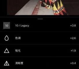 抖音网红拍照支架视频,轻松拍出完美角度，记录生活每一刻