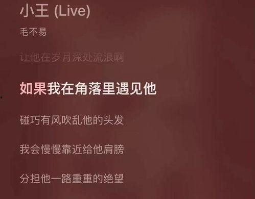 明星团队签名文案,璀璨星光下的独家宣言