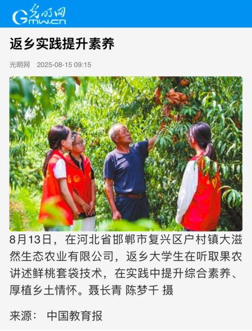 河北邯郸光明今日头条,今日头条聚焦邯郸发展新动态