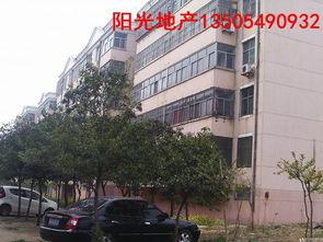 河东安居小区吃瓜,邻里吃瓜趣事，共度欢乐时光