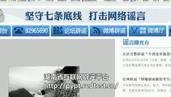 湖南新闻爆料视频播放大全,聚焦热点，揭秘真相