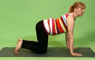 吃瓜瑜伽图片大全,吃瓜瑜伽图片大全集锦