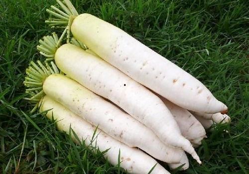 梦见吃酸味的瓜,酸味瓜果的神秘启示