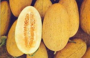 深夜食堂吃哈密瓜,哈密瓜的甜蜜邂逅