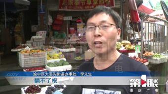 记者新闻爆料,记者揭露重大新闻事件内幕