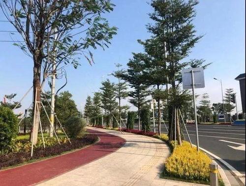 灵山网红地,揭秘热门打卡点的魅力所在