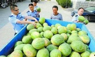 小麻瓜吃瓜群,揭秘娱乐圈幕后故事