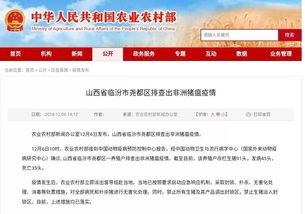 临汾爆料最新新闻网,最新新闻网聚焦热点事件，揭秘背后真相