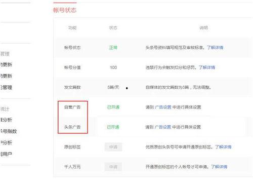 头条拍广告有收益吗,轻松赚取收益新途径
