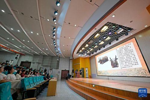 宁夏博物馆微头条,宁夏博物馆带你穿越千年文化之旅