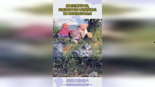 大娘吃瓜缅甸视频,一场别开生面的跨国美食之旅