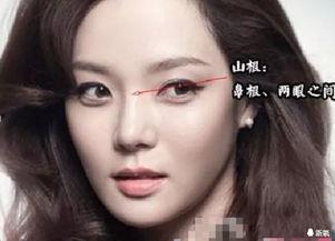 鼻子山根起点高的明星