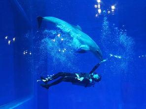 一线吃瓜娱乐圈海底见月,一线“吃瓜”达人海底探月奇遇记