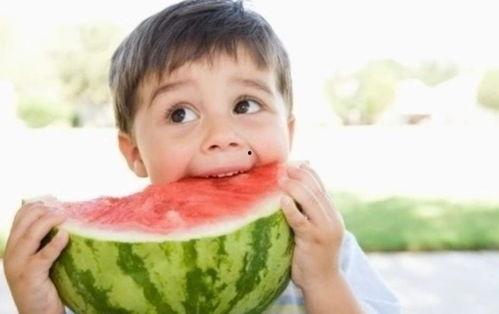 小宝带你吃瓜娱乐圈小说